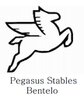 Pegasus Stables Bentelo