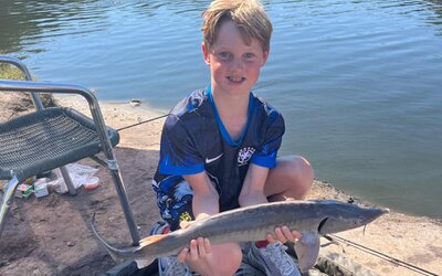 Speler van de Week